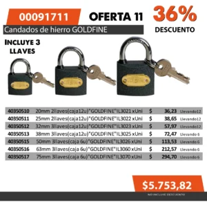 Oferta mensual N°11 Junio 2025 (Candados hierro GOLDFINE)